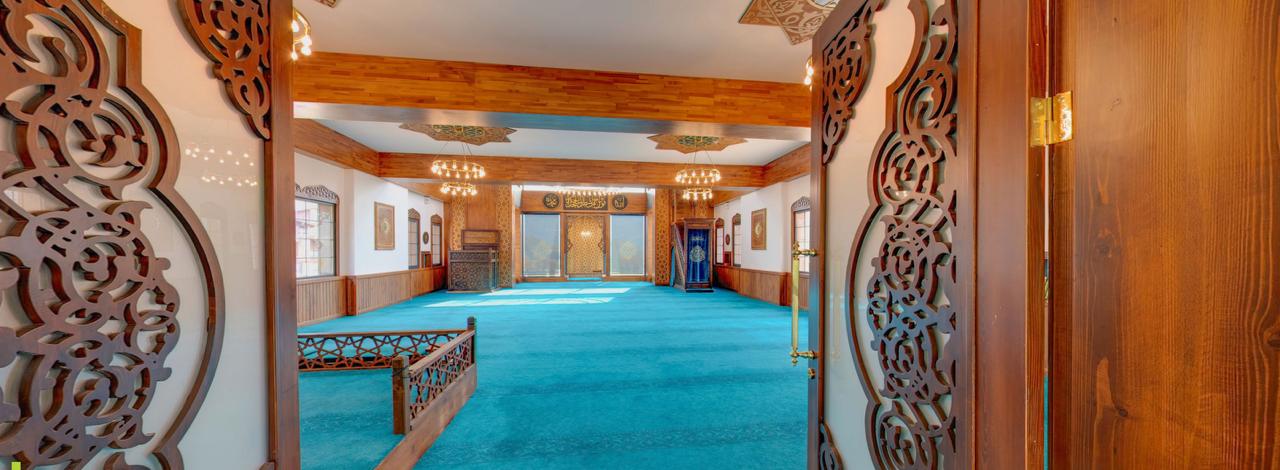 Fullscreen Gallery Image