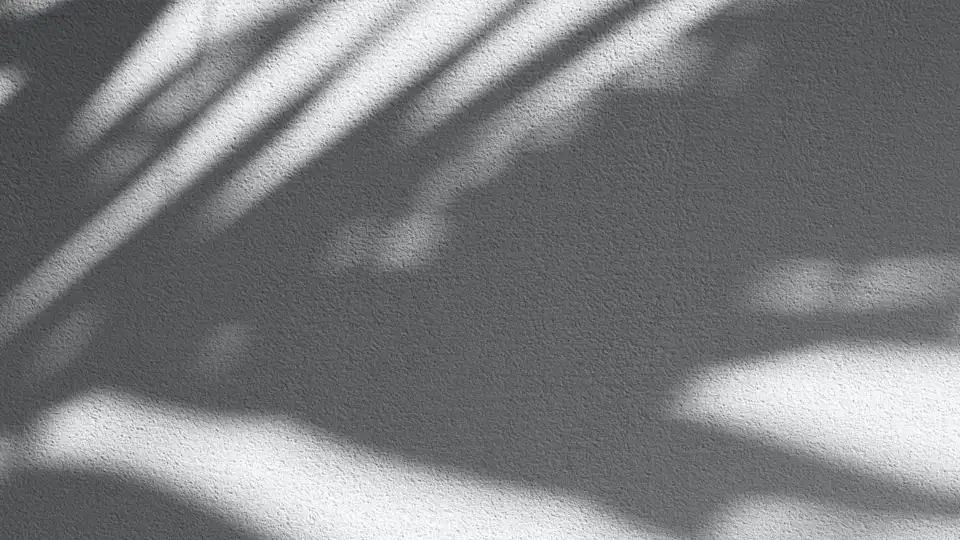 augustine wong zb1jo swloe unsplash