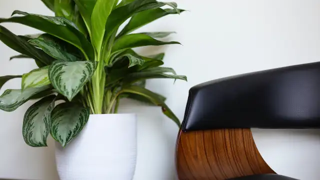 drew beamer ehbb9g7qbss unsplash