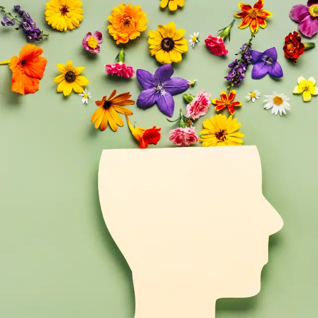 spring cleaning  (website)